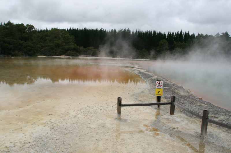 Nieuw-Zeeland 2011 - 0783
